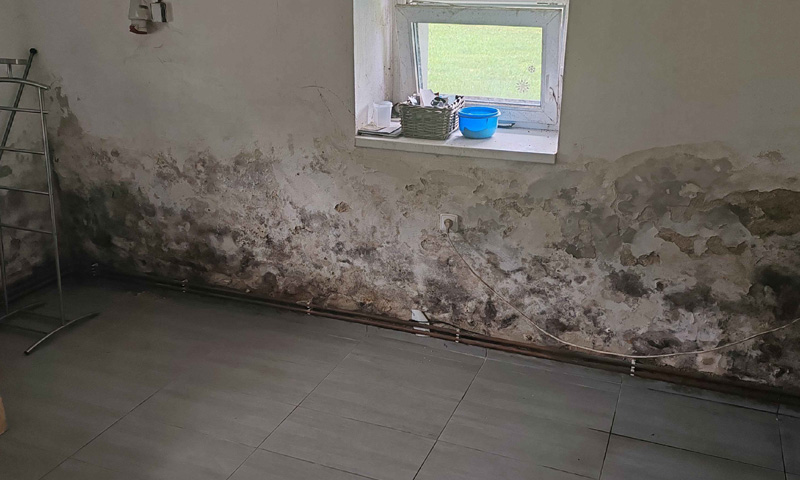 article-idealna-vlhkost-v-dome