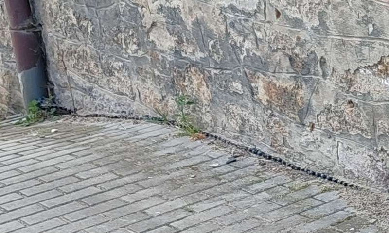 Sanácia betónových konštrukcií