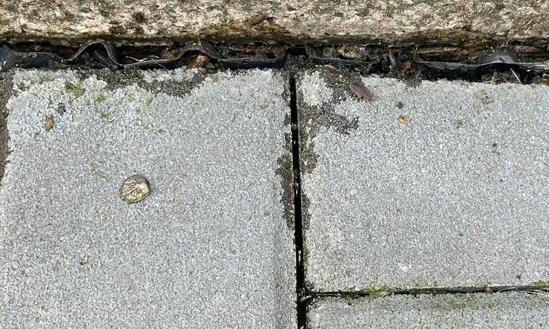 Vlhkosť v prostredí