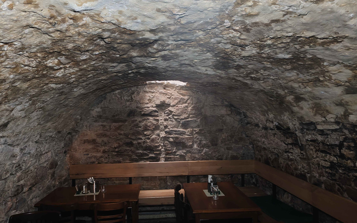 article-plesne-a-vplyv-na-zdravie