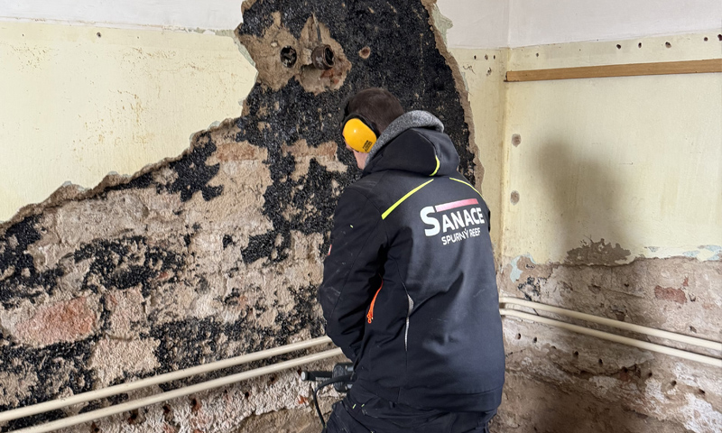 Likvidácia plesne v nehnuteľnosti